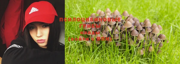 твердый Балахна